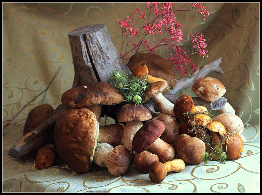 Дары леса - Aleksandr Gal