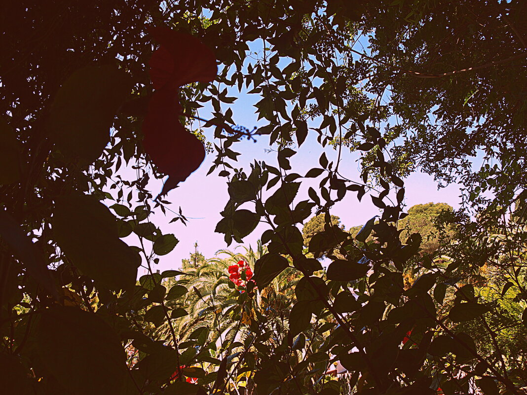 Барселона. - Владимир Драгунский Барселона. - Владимир Драгунский