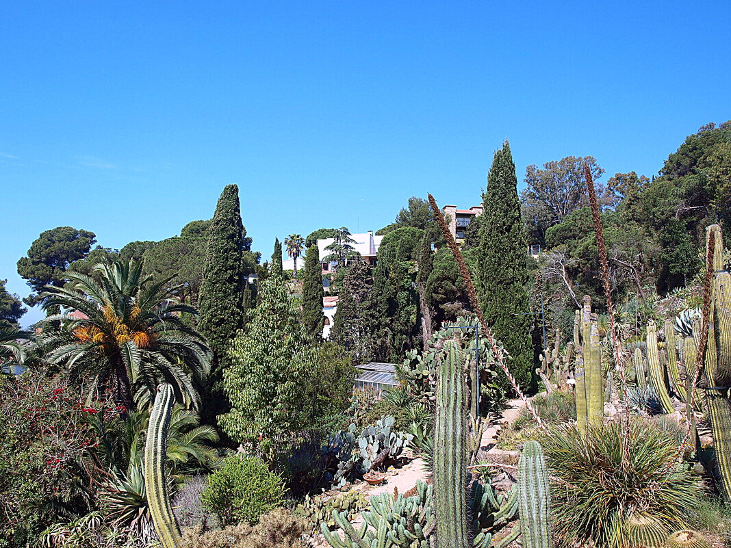 Барселона. - Владимир Драгунский Барселона. - Владимир Драгунский
