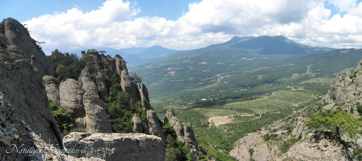 Природа Крыма - Amazing Cosmea