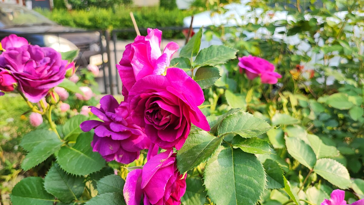 ,,, - Сергей Тимоновский