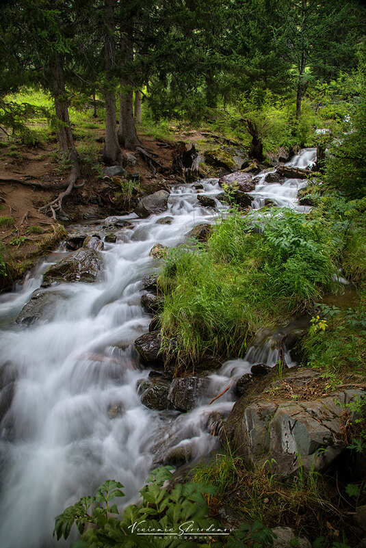 Лесной ручей Боки - Вениамин Скородумов