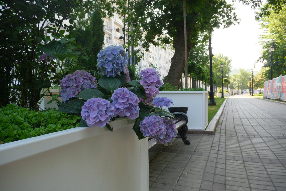 На Чистопрудном бульваре. - Лютый Дровосек На Чистопрудном бульваре. - Лютый Дровосек