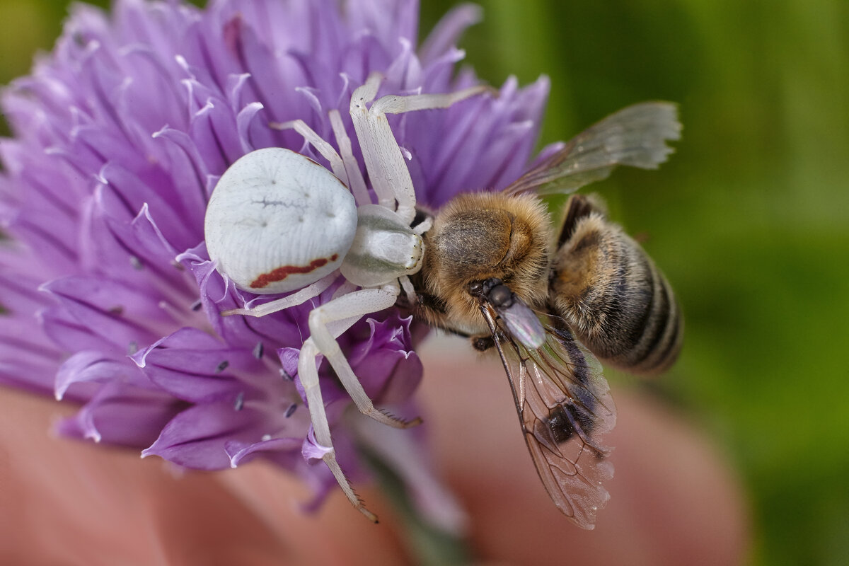 Этот жестокий мир 2 - Сергей 