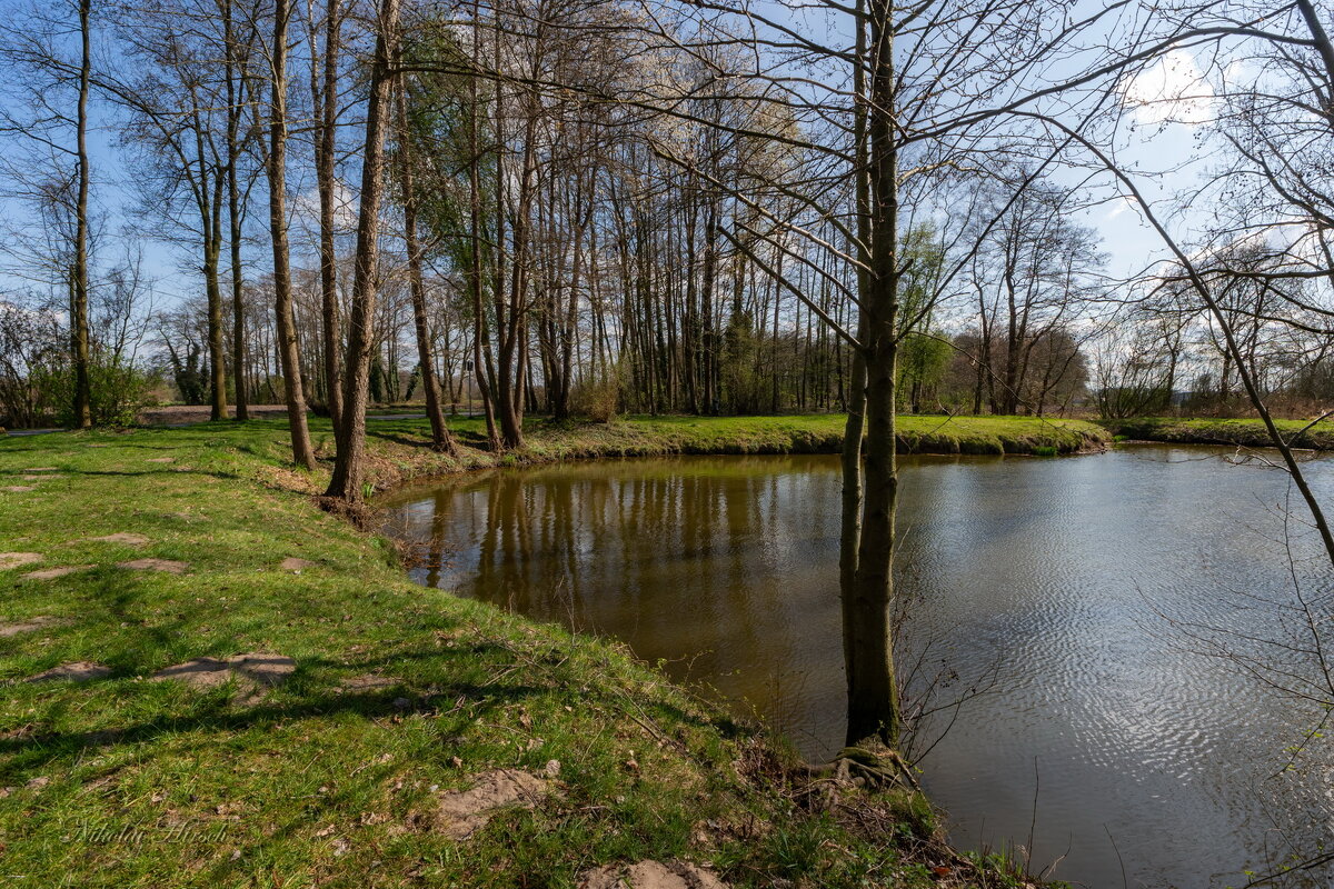 *** - Николай Гирш *** - Николай Гирш