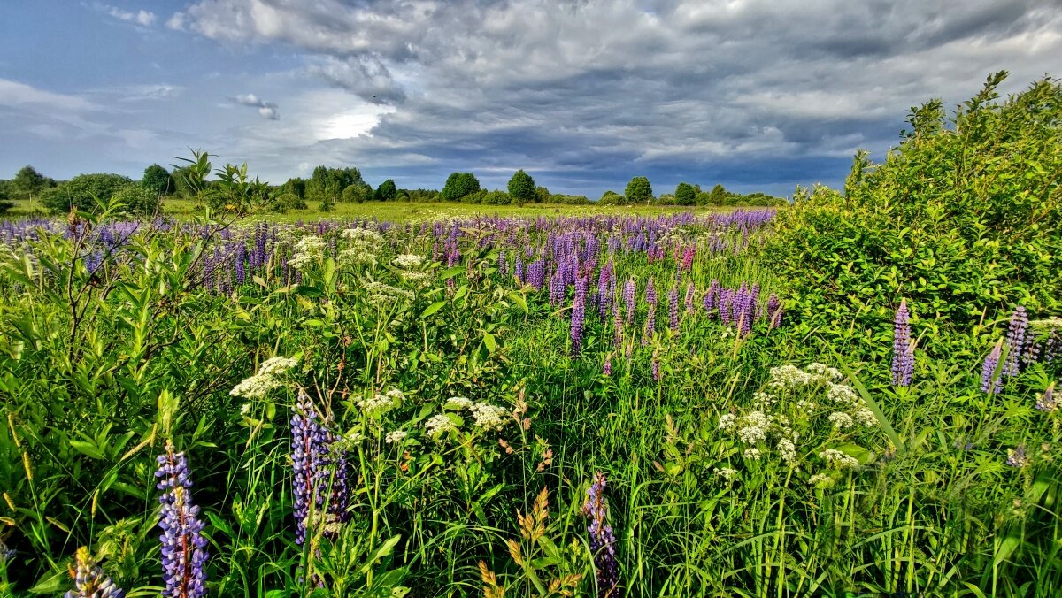 ****** - Наталья Лакомова ****** - Наталья Лакомова