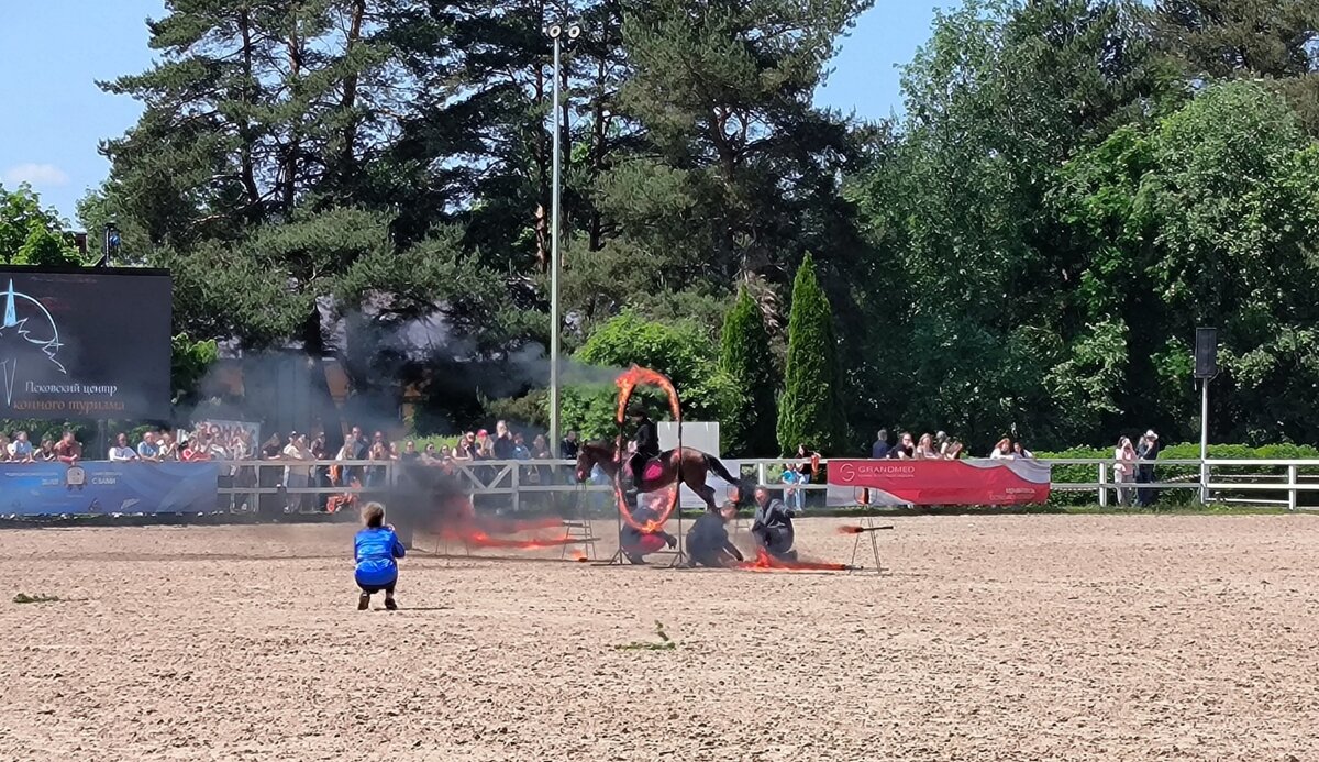 Выступает конно-трюковая школа джигитовки Альянс. - Ольга 