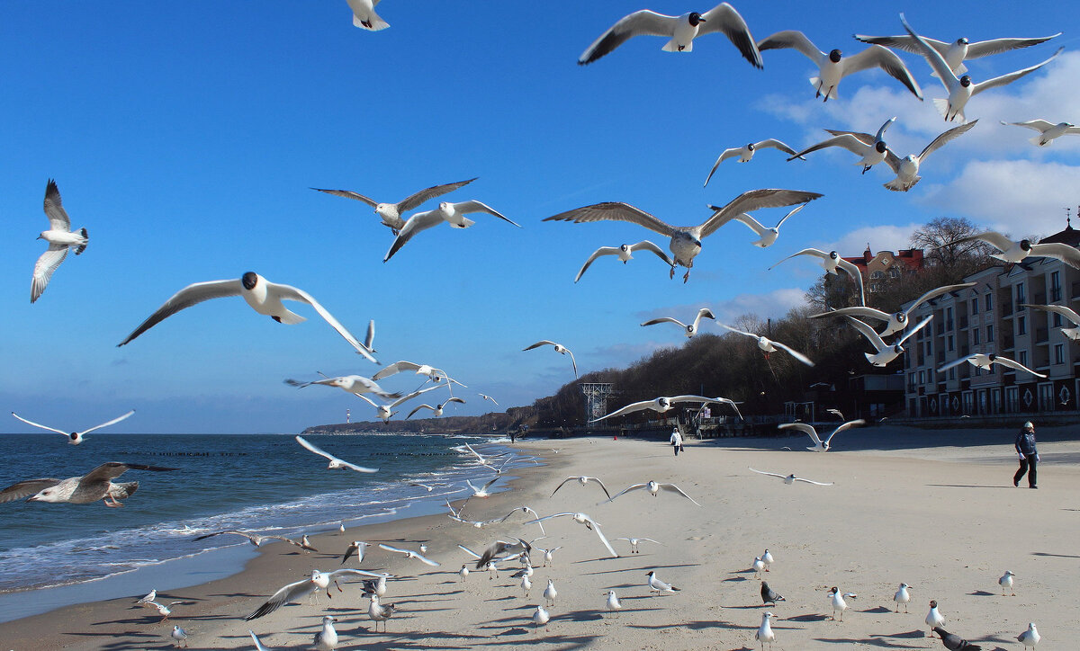 Ура! Хорошая погода! - Августина Ура! Хорошая погода! - Августина