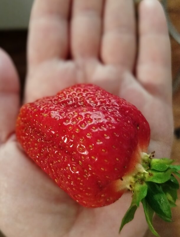 Клубничка - светлана льдокова