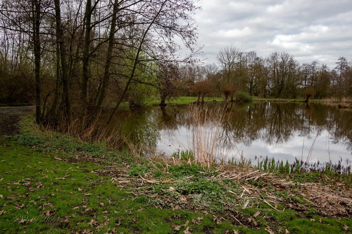 Пруд в марте... - Николай Гирш