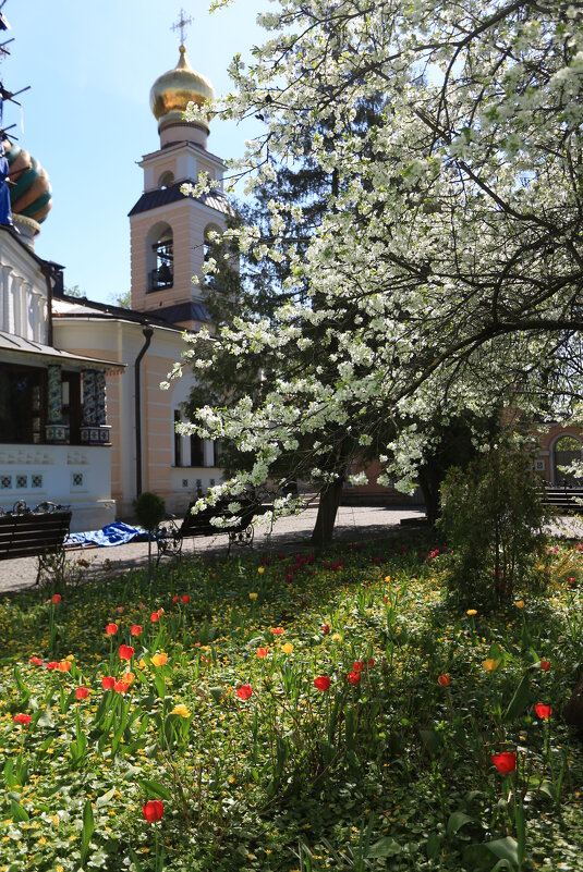 .. - Ninell Nikitina