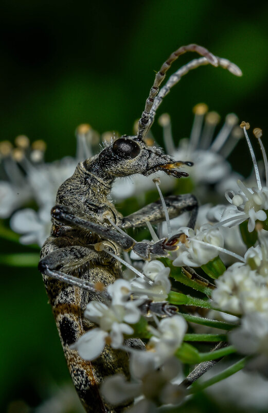 *** - Михаил. М.