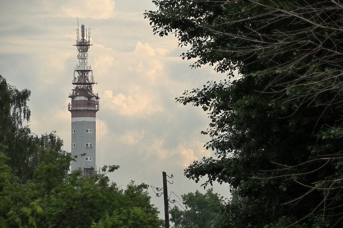 *** - Сергей Сергеев