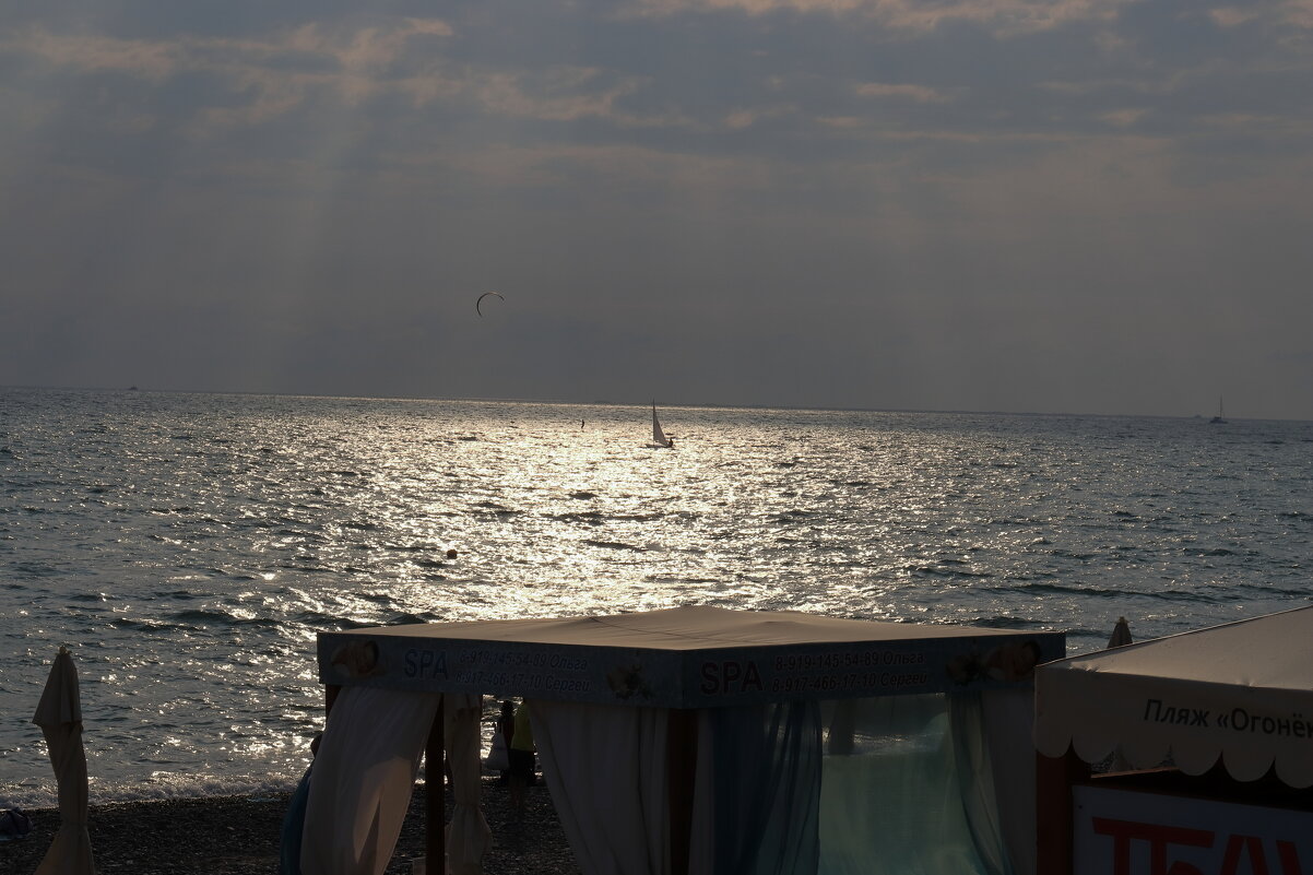 *** - Александр Николаев