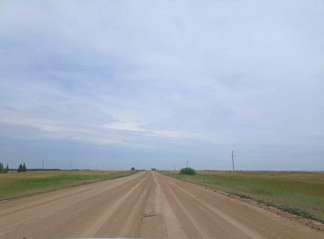 В дороге. - Pippa 