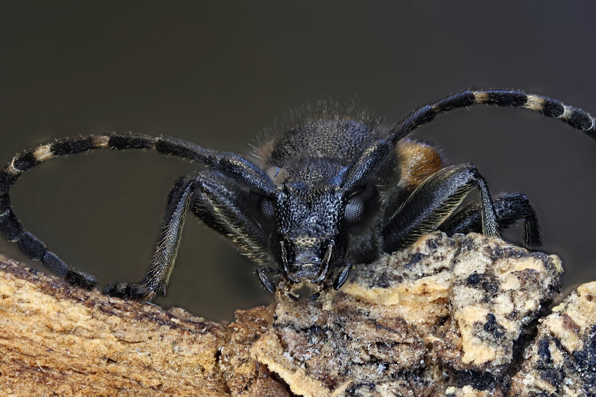 . - Игорь Осипов