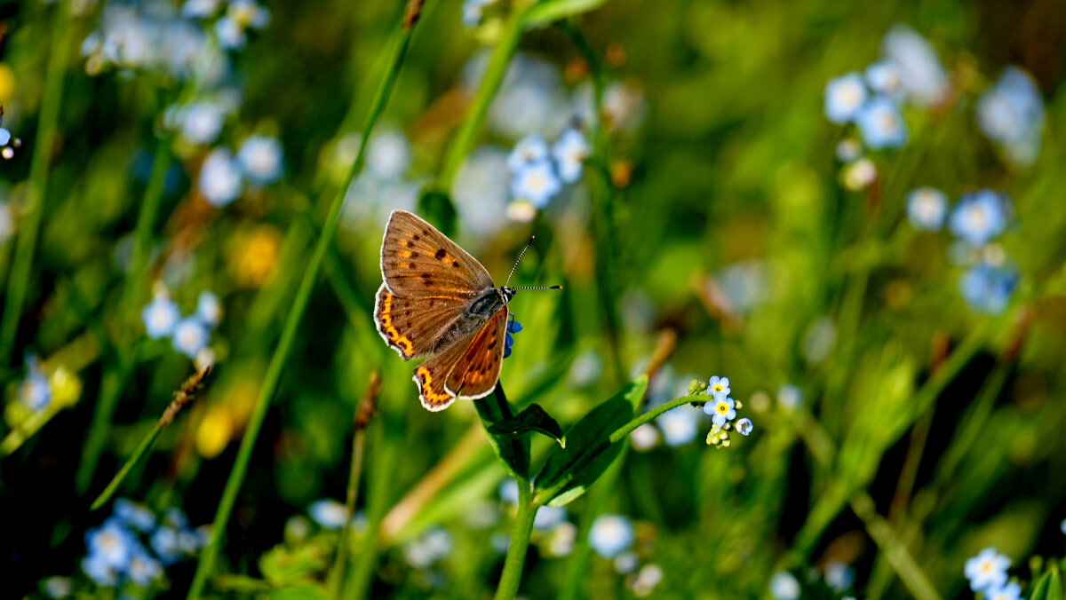 из снятого вчера 2 - Александр Прокудин