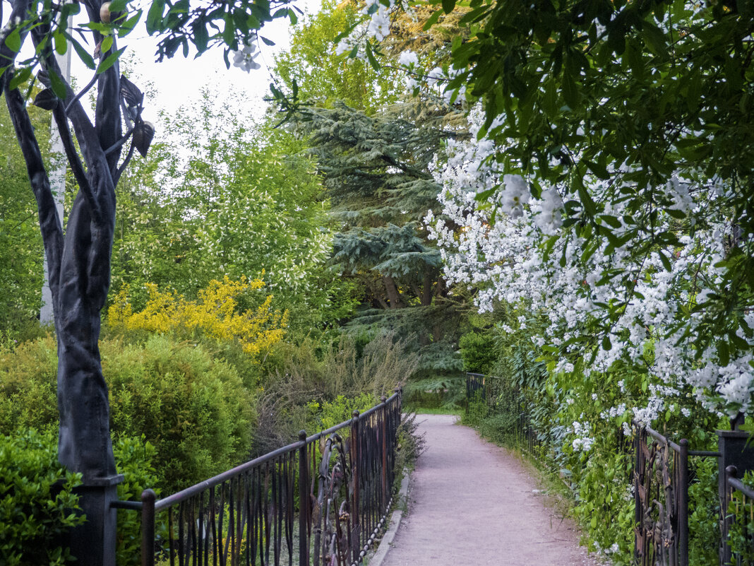 Весна в ботаническом саду - Валентин Семчишин