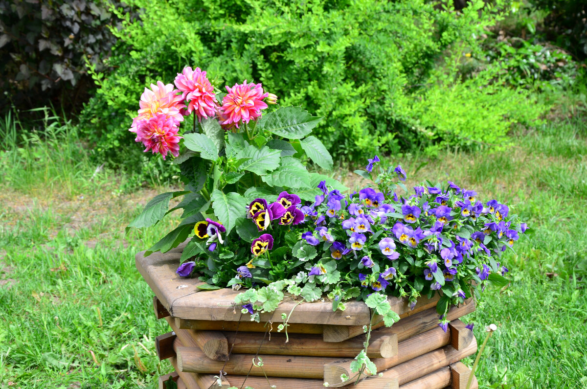 Московская область. Николо-Угрешский монастырь. - Наташа *****