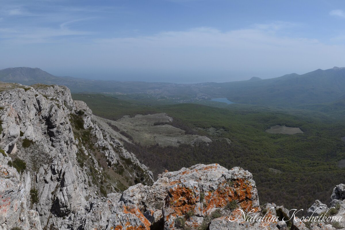 Природа Крыма - Amazing Cosmea Природа Крыма - Amazing Cosmea