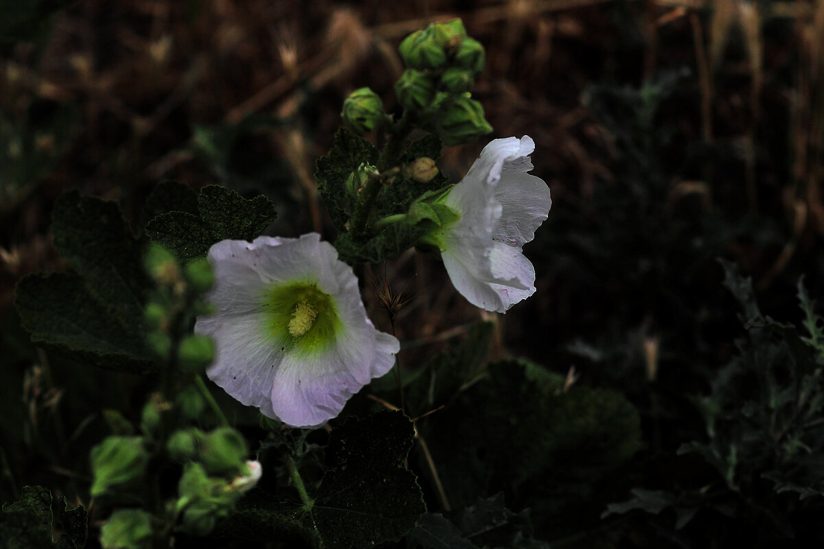 Красиво! - Юрий Гайворонскiий