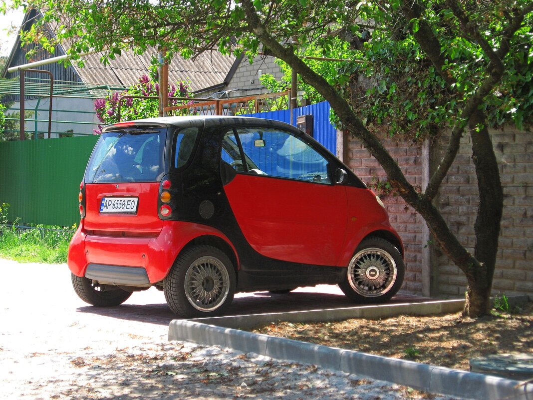 . - Александр Хоменко