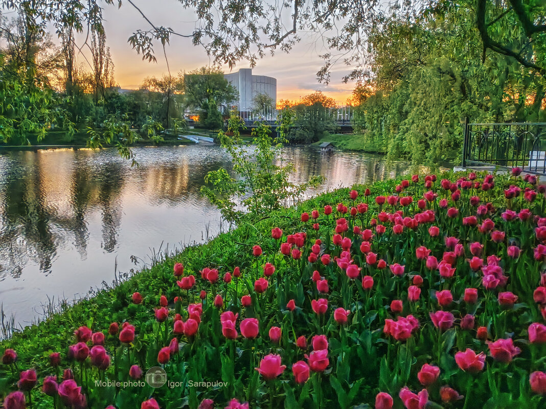 Майский рассвет - Игорь Сарапулов Майский рассвет - Игорь Сарапулов