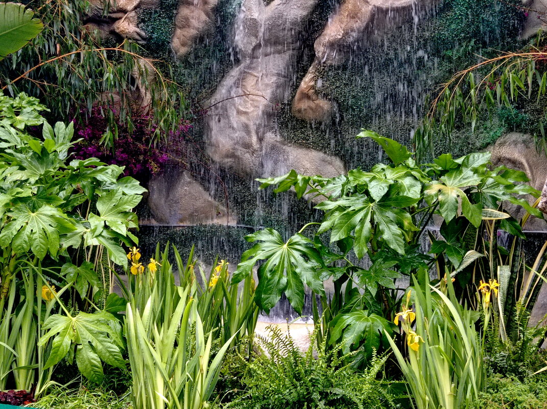 Тропики или субтропики? - Александр Чеботарь