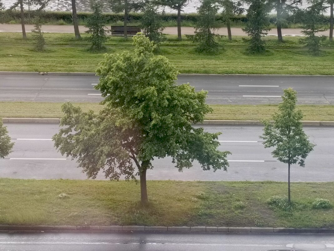 Летом - Митя Дмитрий Митя