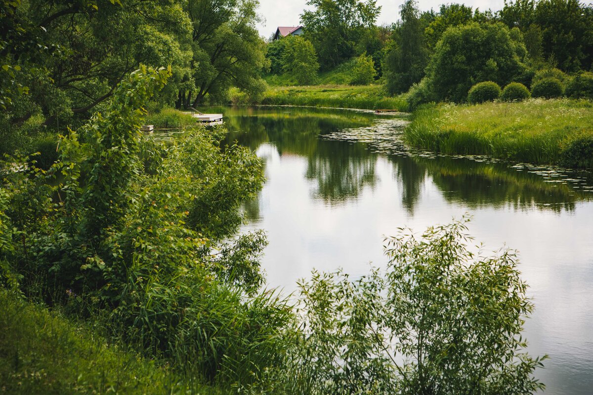 Суздаль. Июнь 2025 - Вячеслав Владимирович Суздаль. Июнь 2025 - Вячеслав Владимирович