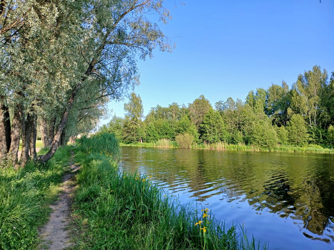 Тропинка. - Лия ☼