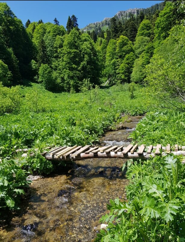 Заповедник. Северный Кавказ - Tata Wolf