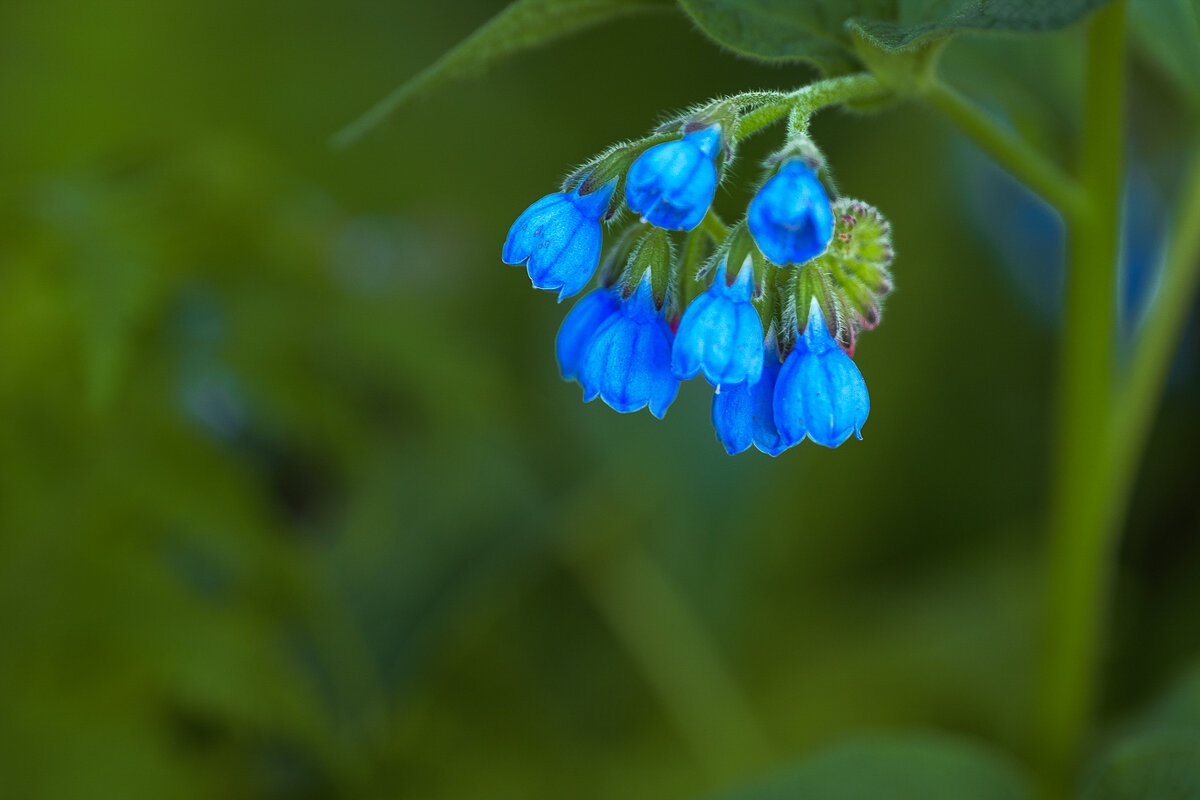 ... - Жора Житников