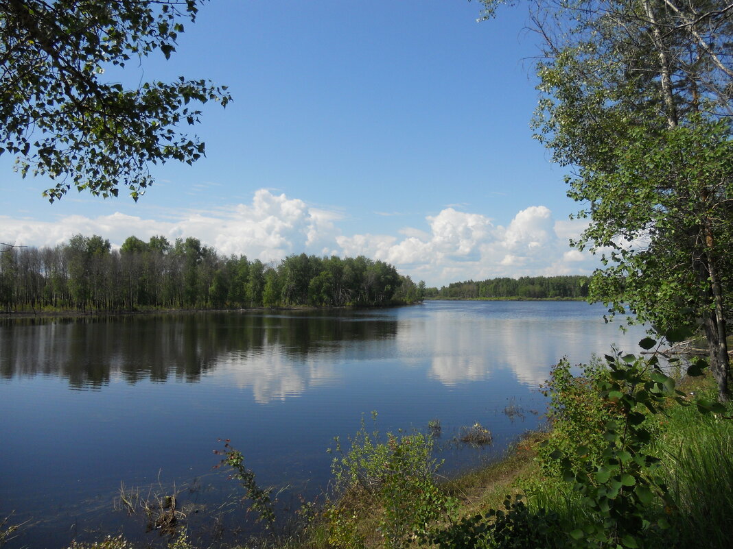 Облака над озером - Сергей Швечков