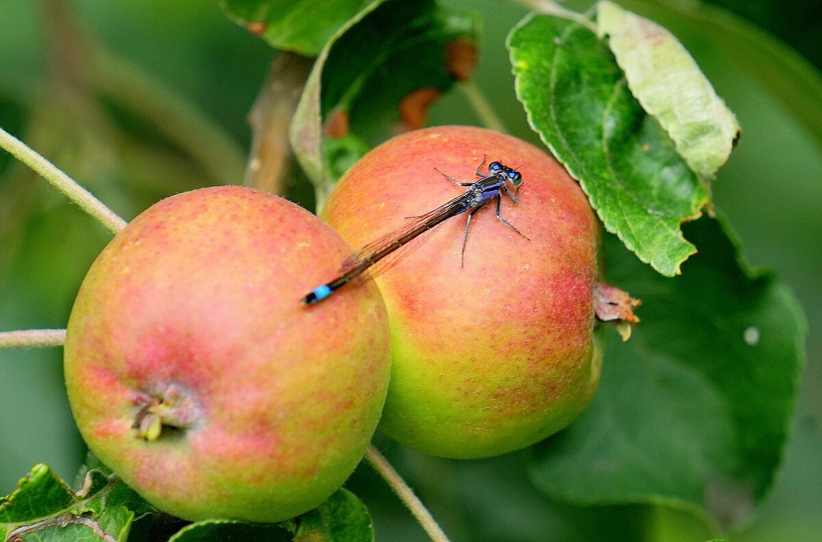 из снятого сегодня 5 - Александр Прокудин из снятого сегодня 5 - Александр Прокудин