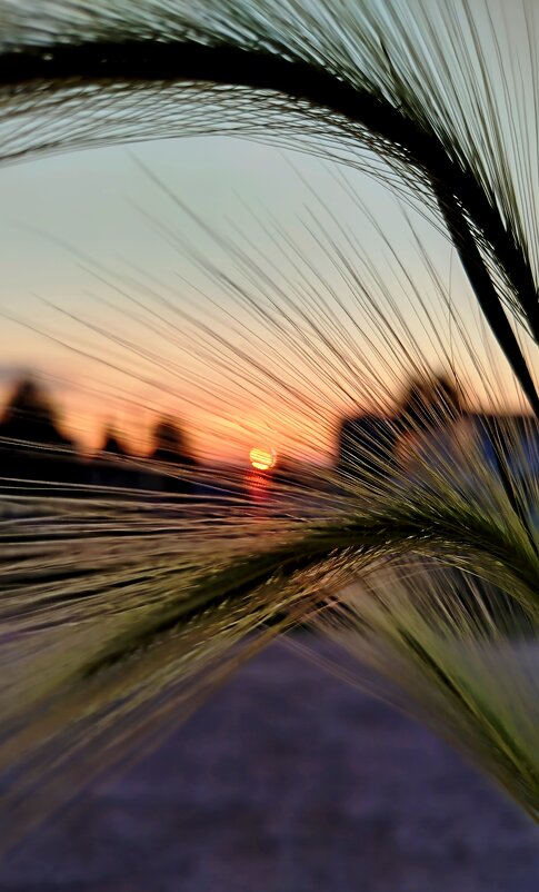 На закате - светлана льдокова На закате - светлана льдокова