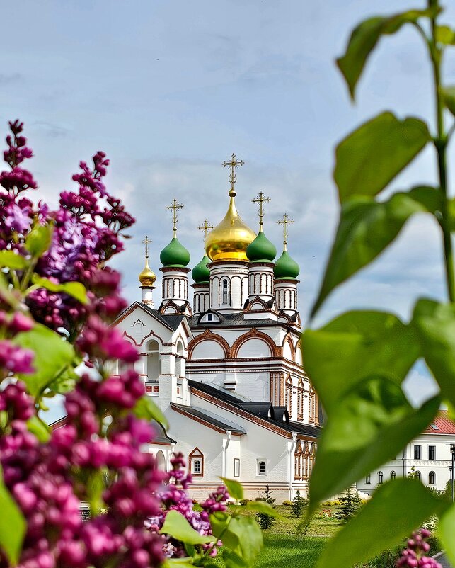 Сергиевский собор. - Михаил Свиденцов Сергиевский собор. - Михаил Свиденцов
