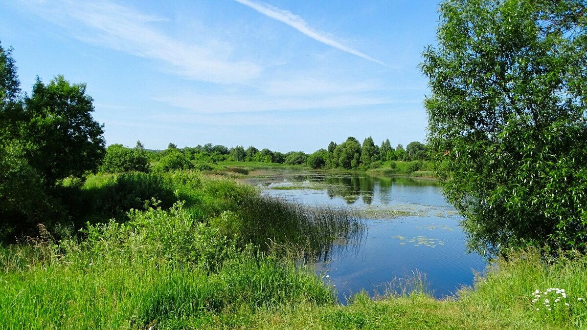 Наше лето. - Милешкин Владимир Алексеевич Наше лето. - Милешкин Владимир Алексеевич