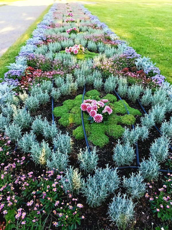 Прогулка в парке Кадриорг - Veera V