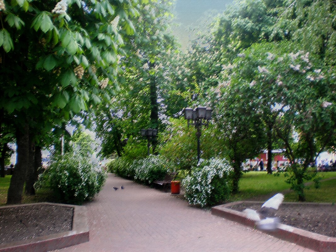 Мой город - Роман Савоцкий