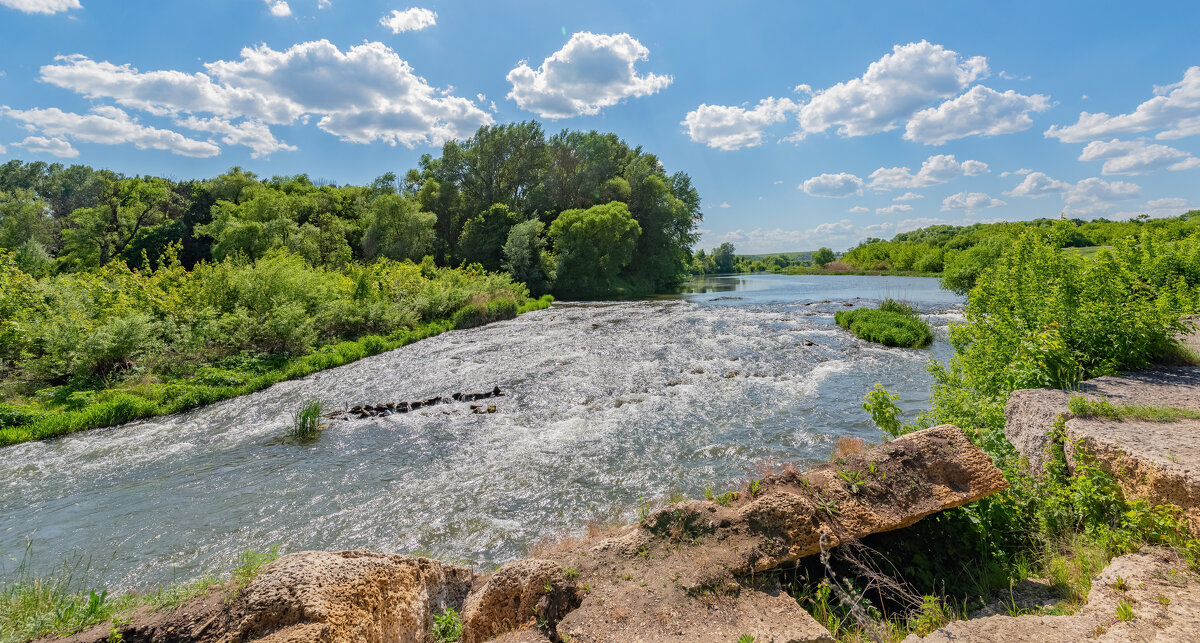 **** - Виталий Емельянов