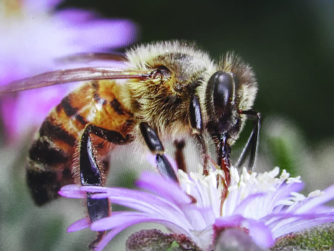 За работой - Людмила Смородинская