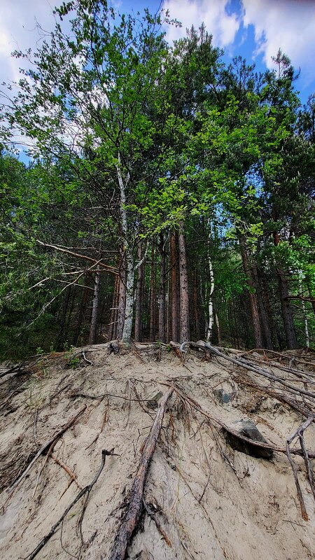 Карелия - Тамара Вебер