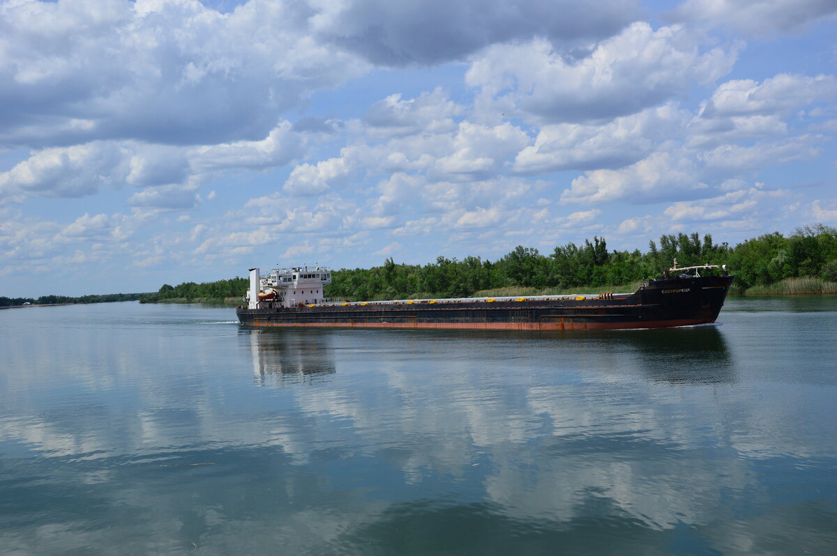 Дон в работе. - Виктор 