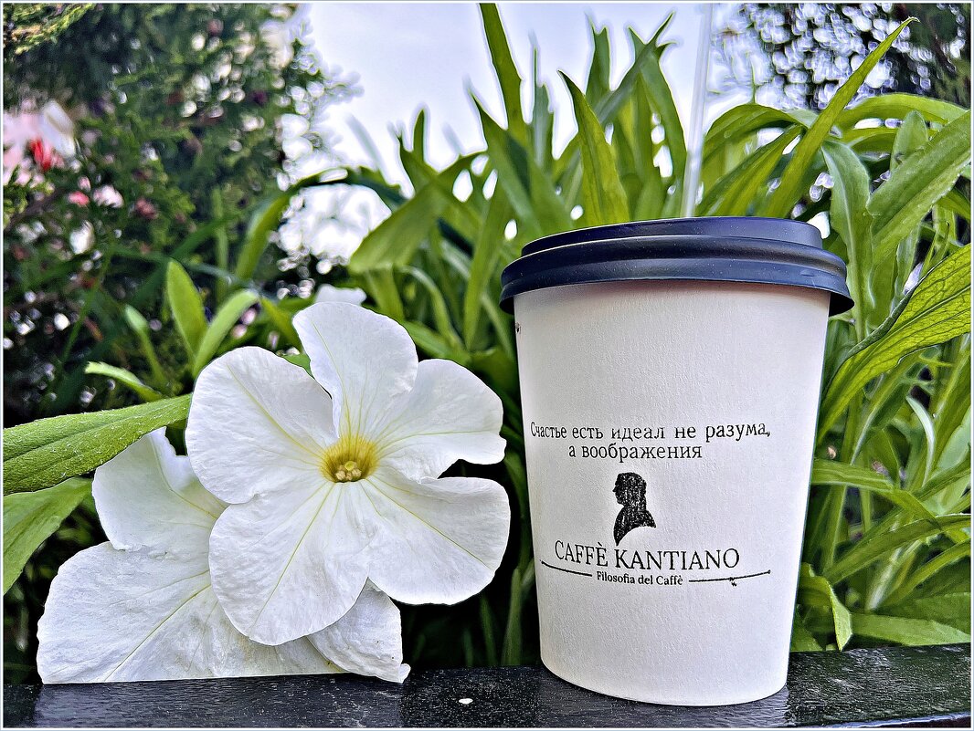 Лето в кафешке. - Валерия Комова