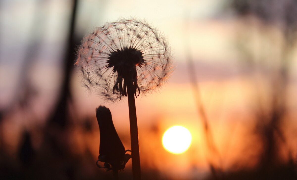 С добрым утром! - Августина 