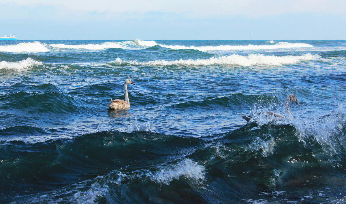 У шторма в плену - Августина У шторма в плену - Августина
