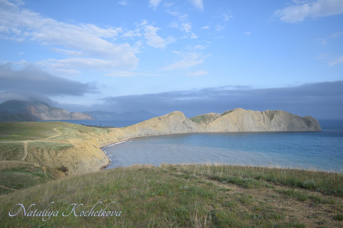 Природа Крыма - Amazing Cosmea