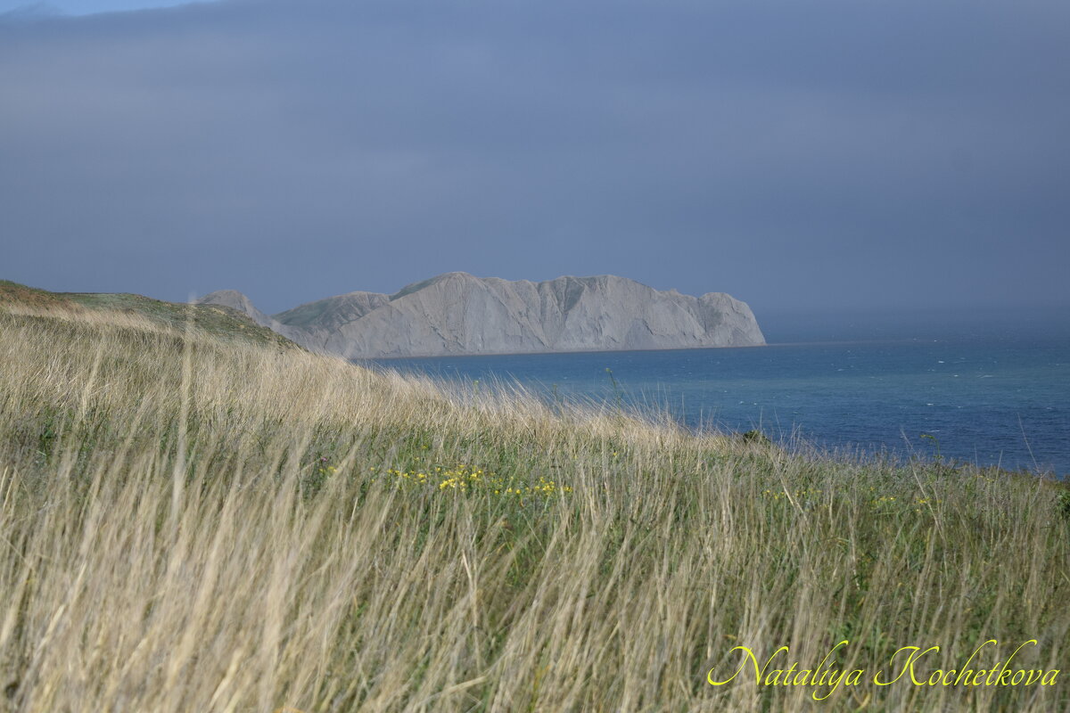 Природа Крыма - Amazing Cosmea