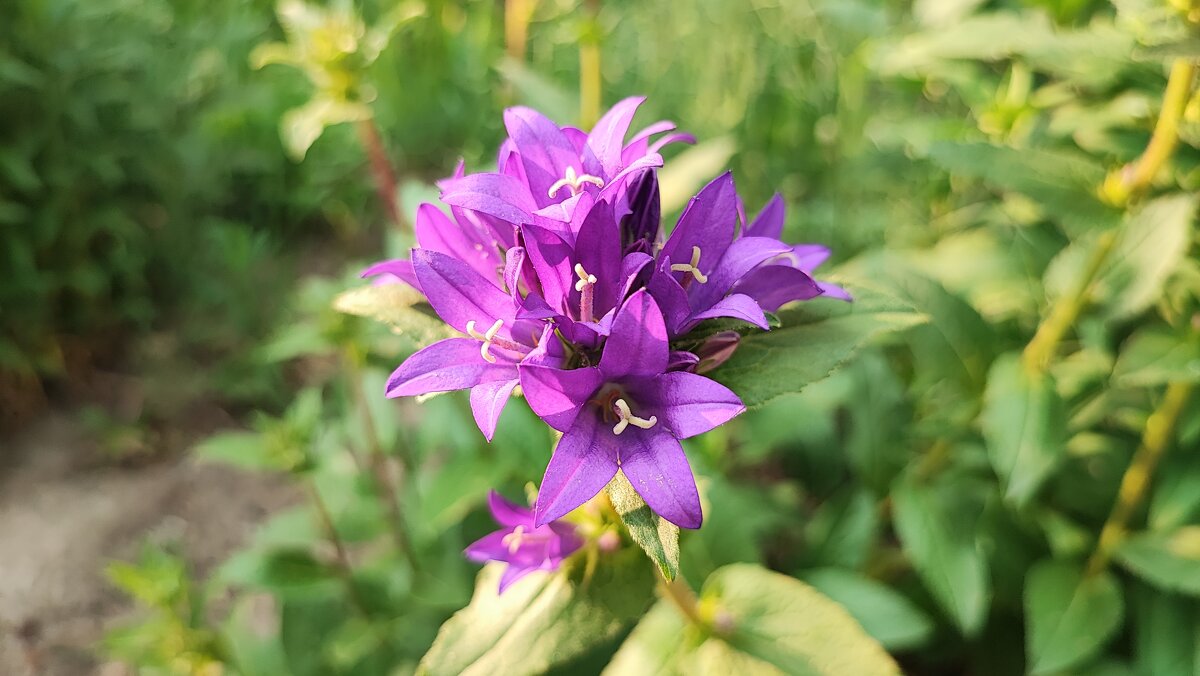 ,,, - Сергей Тимоновский